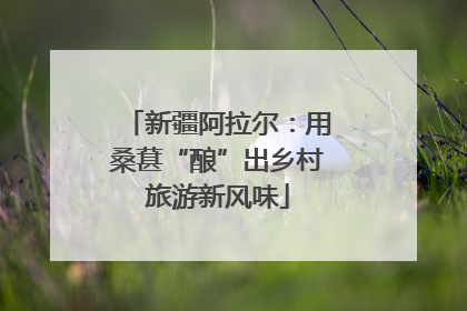 新疆阿拉尔：用桑葚“酿”出乡村旅游新风味