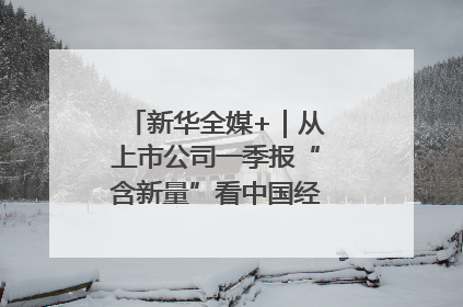 新华全媒+｜从上市公司一季报“含新量”看中国经济发展向“新”