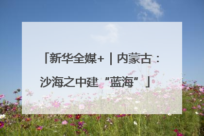 新华全媒+｜内蒙古：沙海之中建“蓝海”