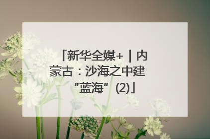 新华全媒+｜内蒙古：沙海之中建“蓝海”(2)