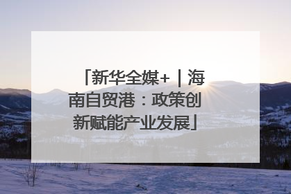 新华全媒+｜海南自贸港：政策创新赋能产业发展