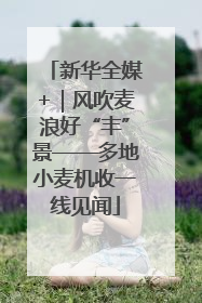 新华全媒+｜风吹麦浪好“丰”景——多地小麦机收一线见闻