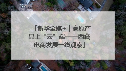 新华全媒+｜高原产品上“云”端——西藏电商发展一线观察