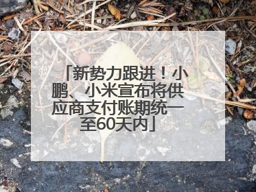 新势力跟进！小鹏、小米宣布将供应商支付账期统一至60天内
