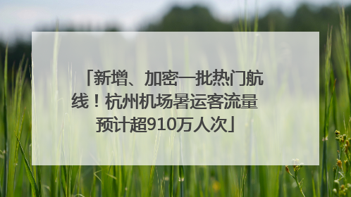 新增、加密一批热门航线！杭州机场暑运客流量预计超910万人次