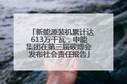 新能源装机累计达613万千瓦，申能集团在第三届碳博会发布社会责任报告