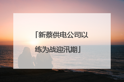 新蔡供电公司以练为战迎汛期