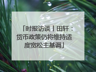 时报访谈丨田轩：货币政策仍将维持适度宽松主基调