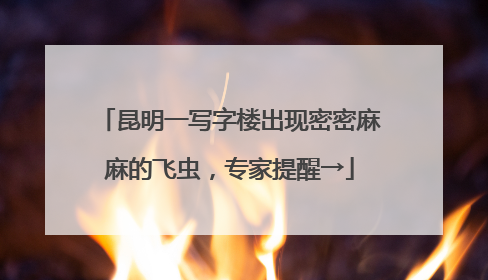 昆明一写字楼出现密密麻麻的飞虫，专家提醒→