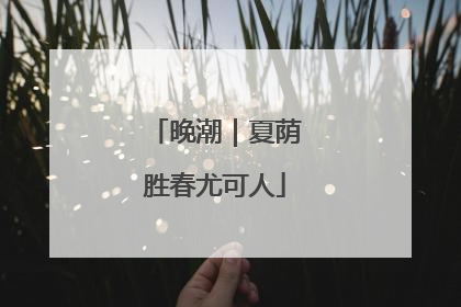 晚潮｜夏荫胜春尤可人