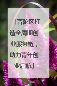 普陀区打造全周期创业服务链，助力青年创业启航