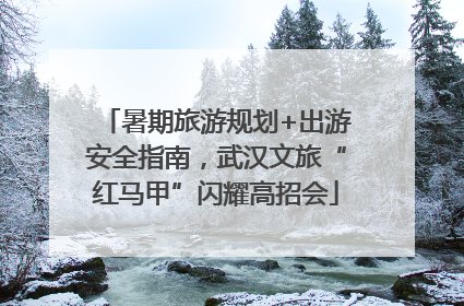 暑期旅游规划+出游安全指南，武汉文旅“红马甲”闪耀高招会