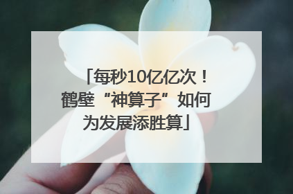 每秒10亿亿次！鹤壁“神算子”如何为发展添胜算