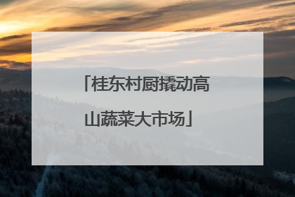 桂东村厨撬动高山蔬菜大市场