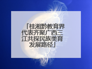 桂湘黔教育界代表齐聚广西三江共探民族美育发展路径