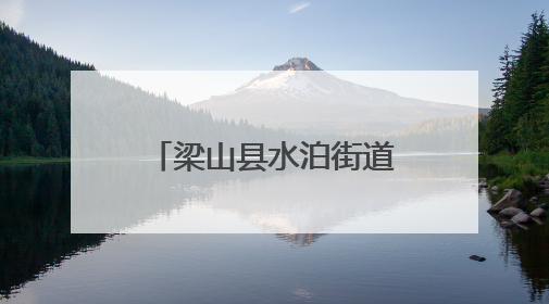梁山县水泊街道为民服务中心开展惠民政策宣传