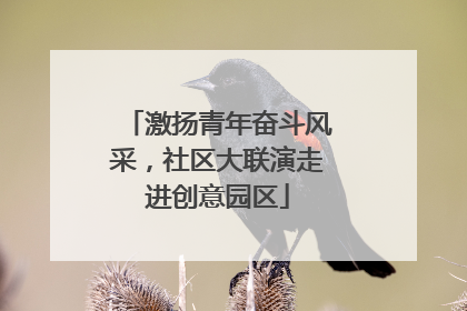 激扬青年奋斗风采，社区大联演走进创意园区