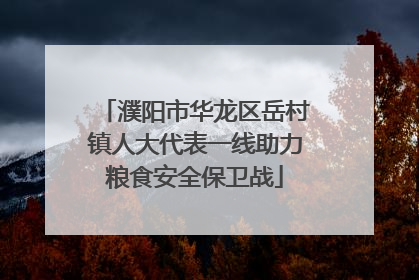 濮阳市华龙区岳村镇人大代表一线助力粮食安全保卫战