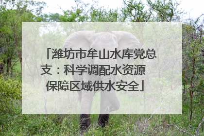 潍坊市牟山水库党总支：科学调配水资源 保障区域供水安全