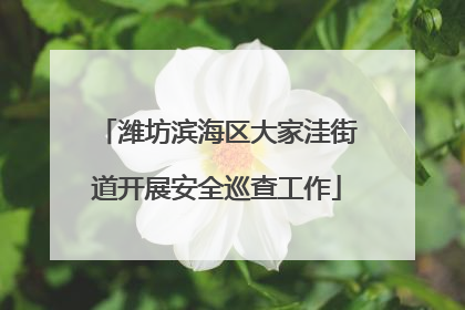 潍坊滨海区大家洼街道开展安全巡查工作