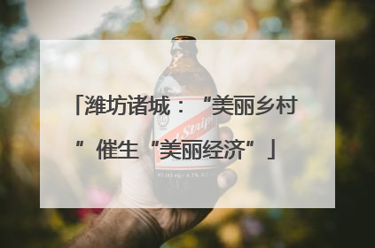 潍坊诸城：“美丽乡村”催生“美丽经济”