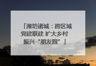 潍坊诸城：跨区域党建联建 扩大乡村振兴“朋友圈”