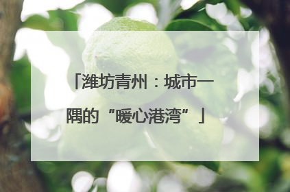 潍坊青州：城市一隅的“暖心港湾”