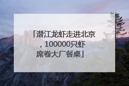 潜江龙虾走进北京，100000只虾席卷大厂餐桌
