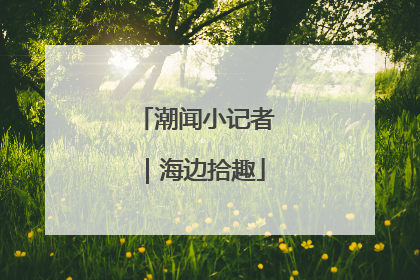 潮闻小记者｜海边拾趣