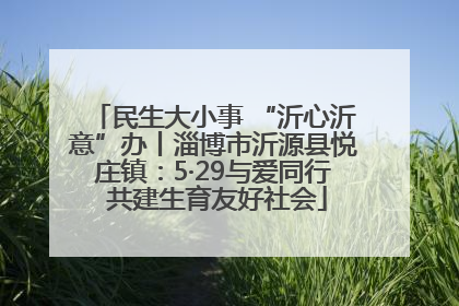 民生大小事 “沂心沂意”办丨淄博市沂源县悦庄镇：5·29与爱同行 共建生育友好社会