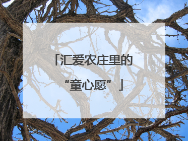 汇爱农庄里的“童心愿”