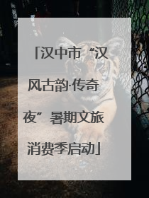 汉中市“汉风古韵·传奇夜”暑期文旅消费季启动