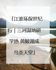 江淮环保世纪行｜三河湿地研学热 黄陂湖成鸟类天堂