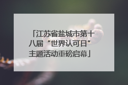 江苏省盐城市第十八届“世界认可日”主题活动重磅启幕