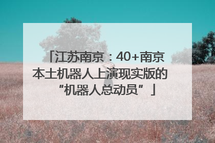 江苏南京：40+南京本土机器人上演现实版的“机器人总动员”