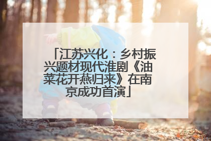 江苏兴化：乡村振兴题材现代淮剧《油菜花开燕归来》在南京成功首演