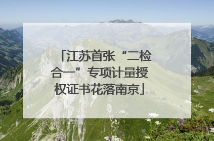 江苏首张“二检合一”专项计量授权证书花落南京