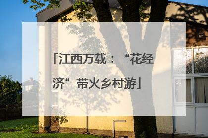 江西万载：“花经济”带火乡村游