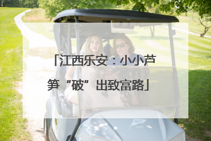 江西乐安：小小芦笋“破”出致富路