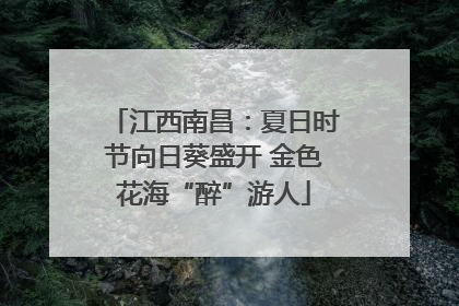 江西南昌：夏日时节向日葵盛开 金色花海“醉”游人