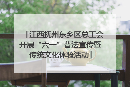 江西抚州东乡区总工会开展“六一”普法宣传暨传统文化体验活动