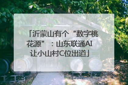 沂蒙山有个“数字桃花源”：山东联通AI让小山村C位出道