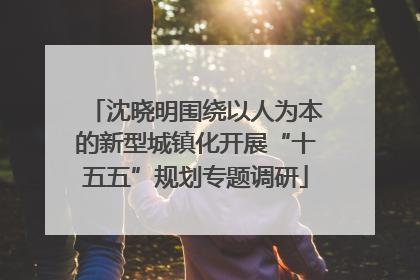 沈晓明围绕以人为本的新型城镇化开展“十五五”规划专题调研