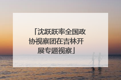 沈跃跃率全国政协视察团在吉林开展专题视察