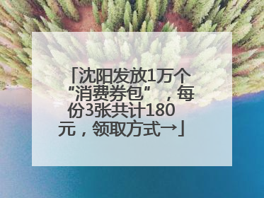 沈阳发放1万个“消费券包”，每份3张共计180元，领取方式→