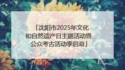 沈阳市2025年文化和自然遗产日主题活动暨公众考古活动季启幕