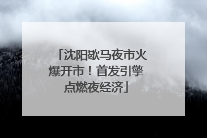 沈阳歇马夜市火爆开市！首发引擎点燃夜经济