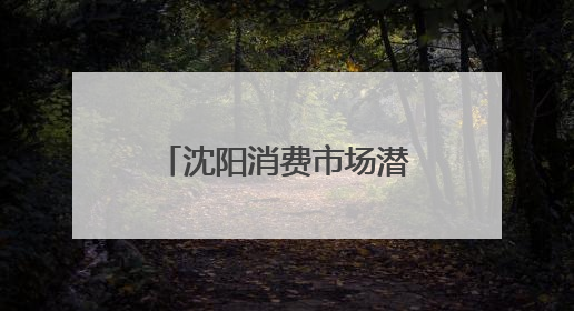 沈阳消费市场潜力不断释放 活力迸发亮点频现