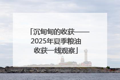 沉甸甸的收获——2025年夏季粮油收获一线观察
