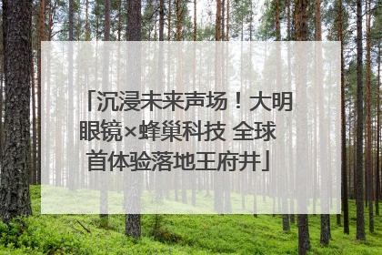 沉浸未来声场！大明眼镜×蜂巢科技 全球首体验落地王府井